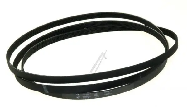 Whirlpool Indesit Poly-V Belt 481935828002