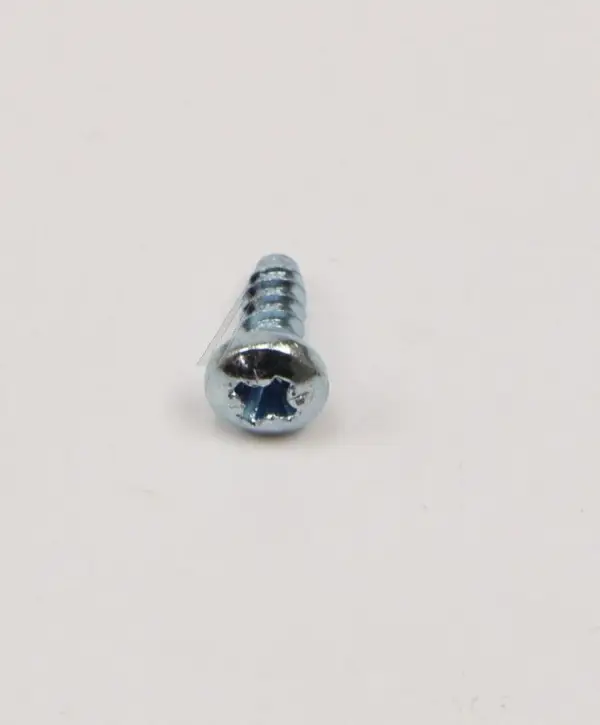 Whirlpool Indesit Screw 482000090224