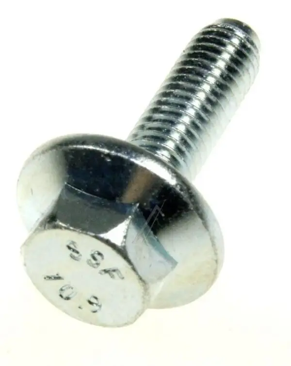 Bosch Siemens Screw 00171270