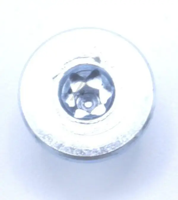 Hisense Gorenje Sliding Door Bearing Screw, M5-8.8 FZB 576165