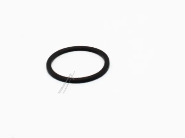 Bertazzoni Washers Z290241